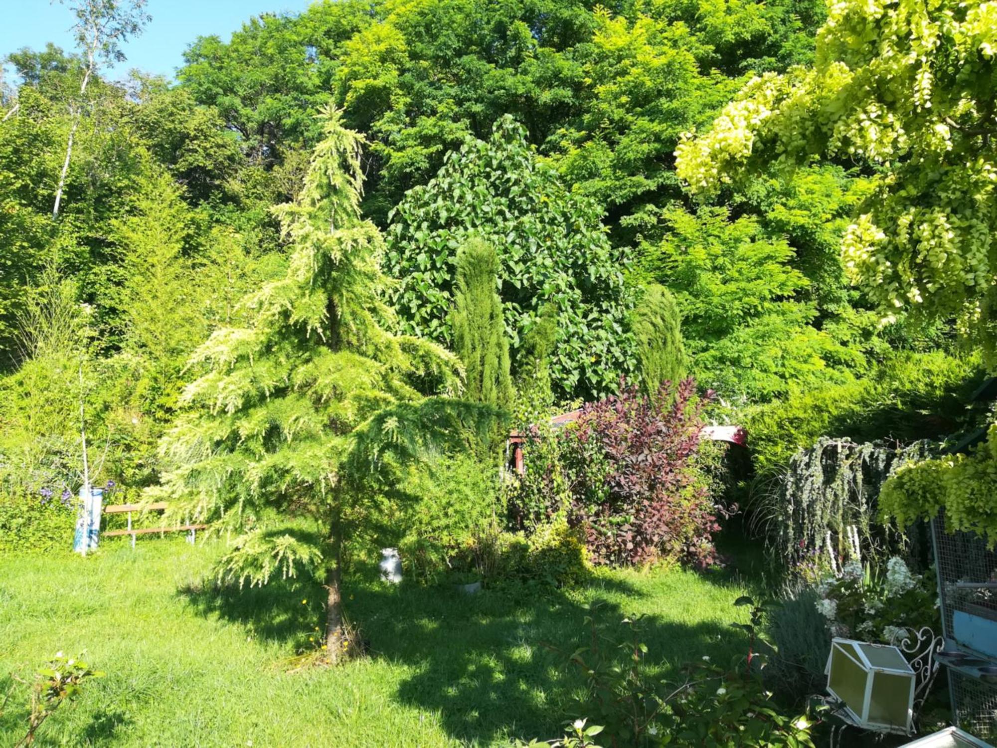 Apiculteur Loue 2 Chambres Dans Cadre Verdoyant Pagny-sur-Meuse Exterior photo