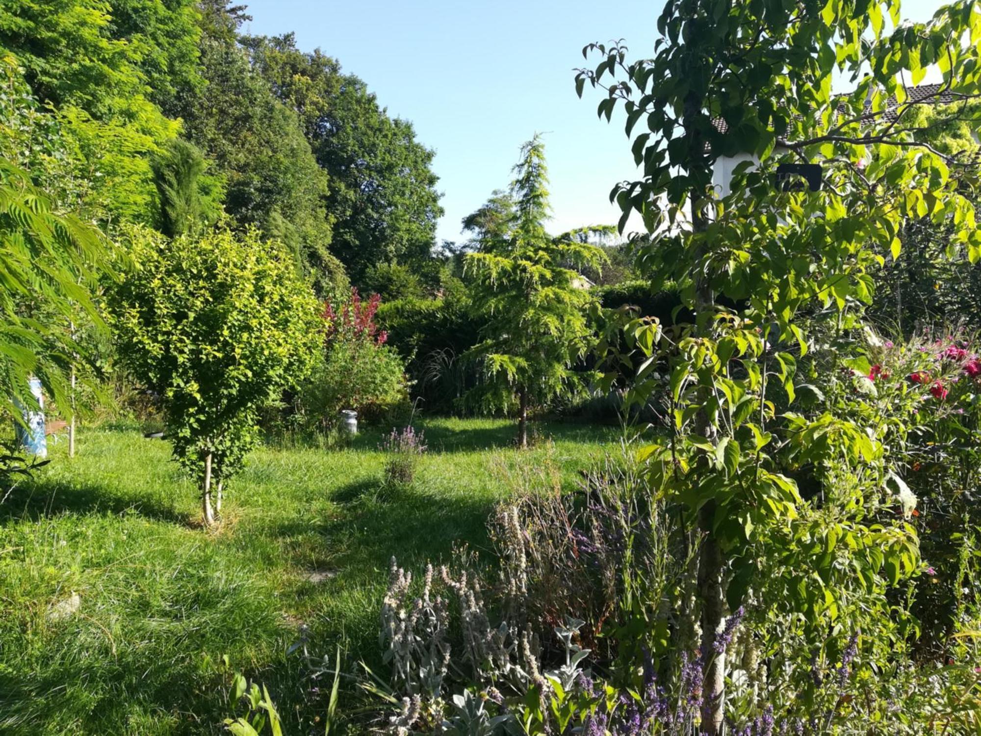 Apiculteur Loue 2 Chambres Dans Cadre Verdoyant Pagny-sur-Meuse Exterior photo